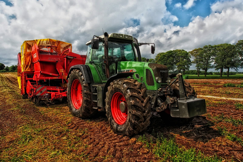 Cereal Agronomist